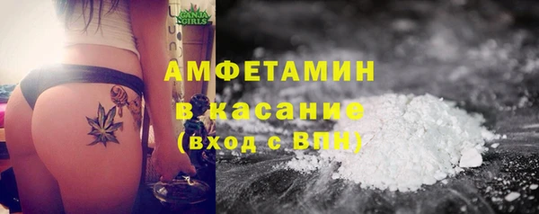 молекула духа Богородск