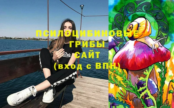 мяу мяу мука Богданович