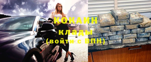 молекула духа Богородск