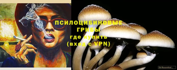 молекула духа Богородск