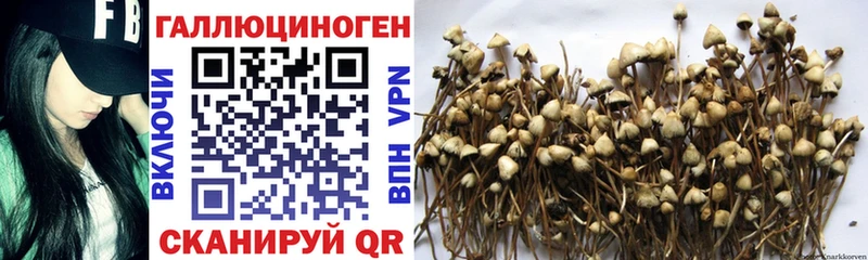 Купить где  Туймазы  Псилоцибиновые грибы Psilocybine cubensis 