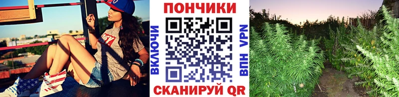 Шишки марихуана MAZAR Туймазы